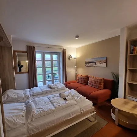 Apartamento Rugana - Komfort 1-raum Mit Terrasse C11 Dranske