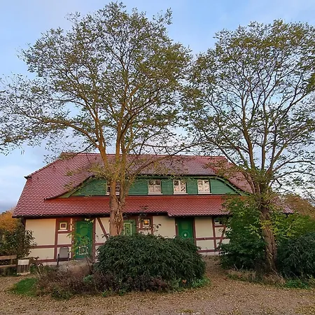 Apartamento Rugana - Komfort 1-raum Mit Terrasse C11 Dranske