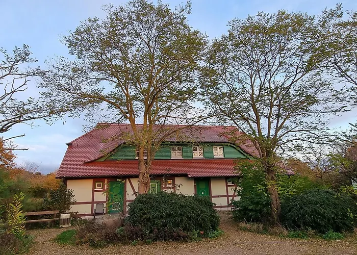 Lejlighed Rugana - Komfort 1-raum Mit Terrasse C11 Dranske