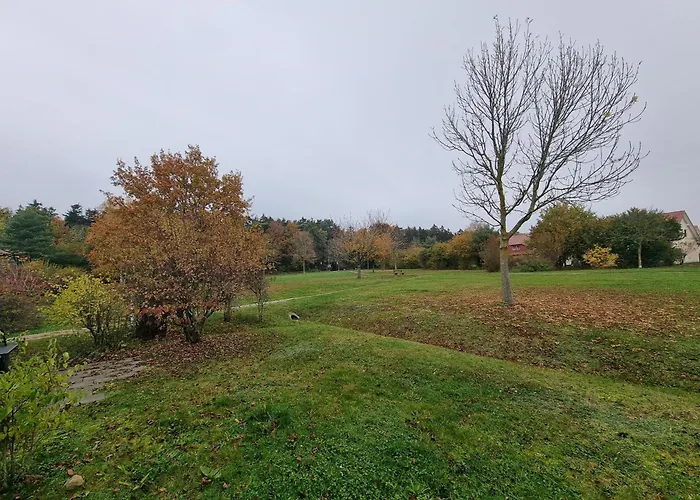 Rugana - Komfort 1-raum Mit Terrasse C11